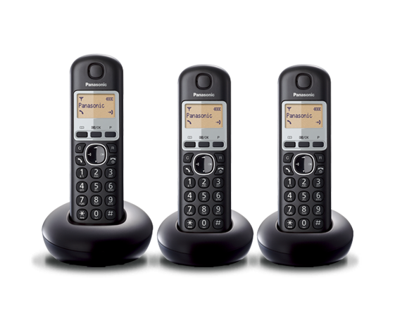 Panasonic Telephone B213NZ
