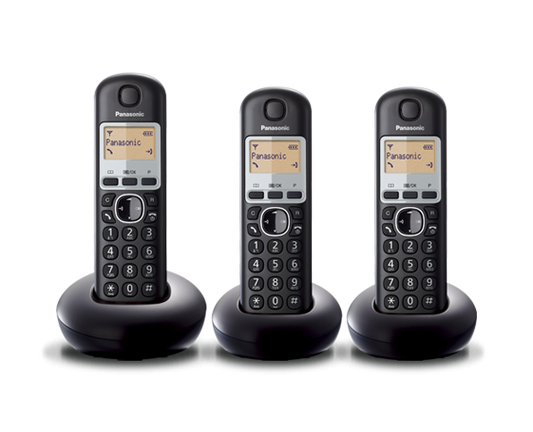 Panasonic Telephone B213NZ
